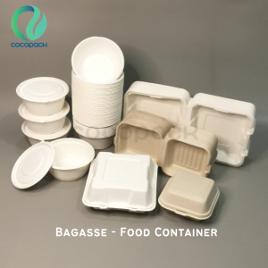 Bagasse