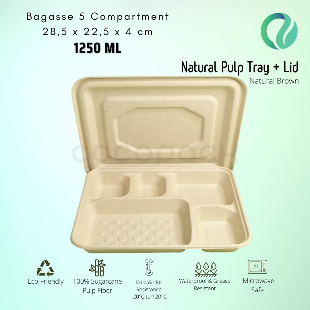 Bagasse Bento Box 5 Sekat Natural + Pulp Lid