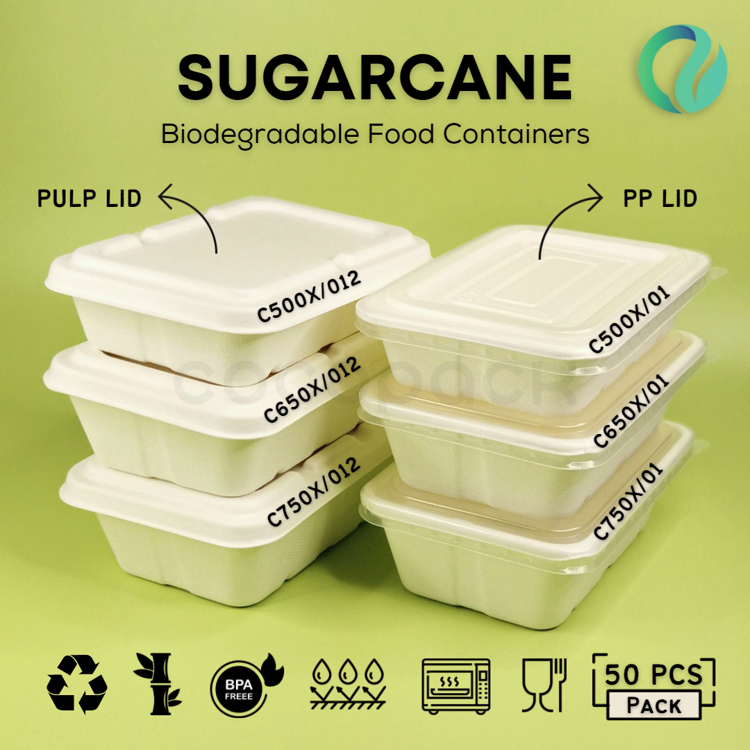Bagasse Rectangle 750ml + Tutup Bagasse - Gambar 4